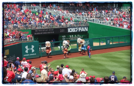 Keeping the crowd entertained is an important part of a baseball game. This is called the President's race!