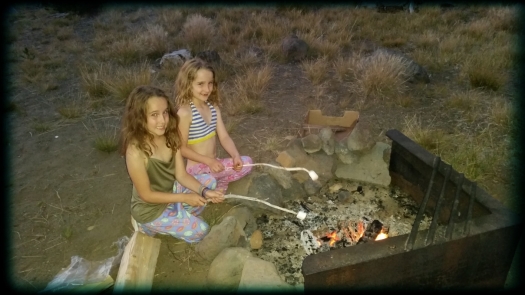Which were followed by the only acceptable dessert choice when camping - s'mores!